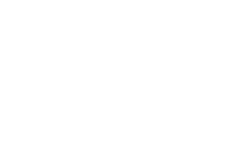 Stake.dk logo